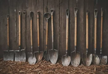 Historia grabi: od prymitywnych narzędzi do nowoczesnych modeli